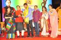 TSR Cinegoer's Association TV Awards 2014 - 15 Photos