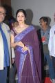 Actress Sridevi at TSR TV9 Film Awards 2011 2012 Photos