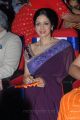 Actress Sridevi at TSR TV9 Film Awards 2011 2012 Photos