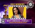 Surekha Vani at TSR-TV9 National Film Awards 2011 2012 Winners Photos