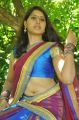 Telugu Actress Thulasi Stills @ Devudu Deyyam Manishi Opening