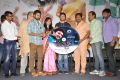 Tummeda Movie Audio Launch Stills