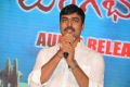 Tungabhadra Movie Audio Launch Stills