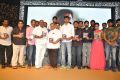 Tungabhadra Movie Audio Launch Stills