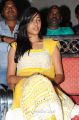 Nagababu Daughter Niharika photos at Tuneega Tuneega Platinum Disc Function