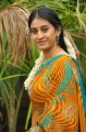 TV Serial Actress Meena in Saree Photos