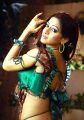 Actress Udaya Bhanu Hot Item Song Photos