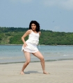 Udhayan Movie Heroine Pranitha Hot Stills Photo Gallery