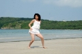 Udhayan Movie Heroine Pranitha Hot Stills Photo Gallery