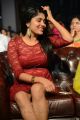 Actress Samyuktha Hornad @ Ulavacharu Biryani Movie Audio Launch Stills