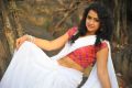 Ullala Ullala Movie Heroine Anketa Maharana Saree Pictures