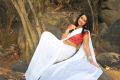 Ullala Ullala Movie Heroine Anketa Maharana Saree Pictures