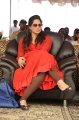 Upasana Kamineni Stills