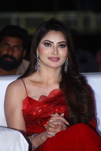 Actress Urvashi Rautela Pics @ Waltair Veerayya Movie Pre Release