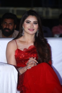 Actress Urvashi Rautela Pics @ Waltair Veerayya Movie Pre Release