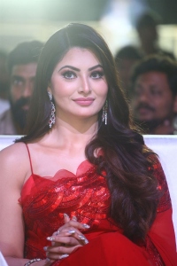 Urvashi Rautela Red Saree Pics @ Waltair Veerayya Pre Release