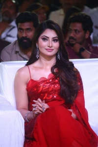 Waltair Veerayya Heroine Urvashi Rautela Red Saree Pics