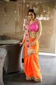 Telugu Model Usha Hot Photos