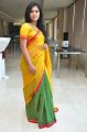 Actress Usha Jadhav Saree Stills @ Veerappan Press Meet