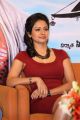 Pooja Kumar @ Uttama Villain Release Date Announcement Press Meet Stills