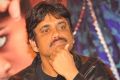 Akkineni Nagarjuna @ Uyyala Jampala Movie Press Meet Stills