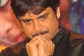 Akkineni Nagarjuna @ Uyyala Jampala Movie Press Meet Stills