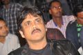 Akkineni Nagarjuna @ Uyyala Jampala Movie Press Meet Stills