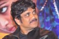 Akkineni Nagarjuna @ Uyyala Jampala Movie Press Meet Stills