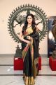 Actress Tanya Ravichandran @ V4 Entertainers MGR Sivaji Academy Awards 2018 Photos
