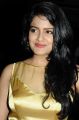 Actress Vishakha Singh @ Vaaliba Raja Movie Audio Launch Photos