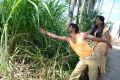 Vachikava Tamil Movie Stills