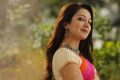 Heroine Catherine Tresa in Vadaladu Movie Stills