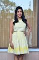 Priya Anand @ Vai Raja Vai Movie Team Meet Stills