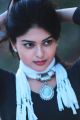 Actress Vaibhavi Shandilya Photoshoot Stills