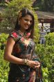Tamil Actress Vaidehi Hot Stills in Black Saree
