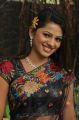 Tamil Actress Vaidehi Hot Photos in Black Saree