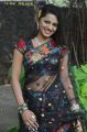 Tamil Actress Vaidehi Hot Stills in Transparent Black Saree