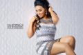 Tamil Actress Vaishali Hot Photoshoot Pics