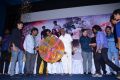 Vajram Movie Audio Launch Stills