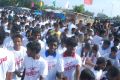 Vajram Team Organized Marathon for School Students Stills