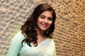 Actress Anjali @ Vakeel Saab Maguva Nee Vijayam Photos