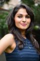 Actress Andrea Jeremiah @ Valiyavan Movie Press Meet Stills