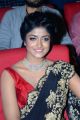 Dimple Hayati @ Valmiki Movie Pre Release Event Stills