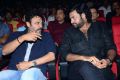 valmiki-movie-pre-release-event-stills-7ecd303