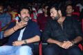 valmiki-movie-pre-release-event-stills-9700753