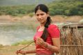 Actress Vijayalakshmi in Vana Yudham Tamil Movie Stills