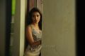 Actress Priya Anand Hot in Vanakkam Chennai Movie Stills