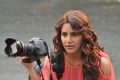 Actress Priya Anand in Vanakkam Chennai Tamil Movie Stills