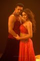 Jayam Ravi, Sayyeshaa Saigal in Vanamagan Movie HD Images