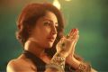 Actress Sayesha Saigal in Vanamagan Movie Stills